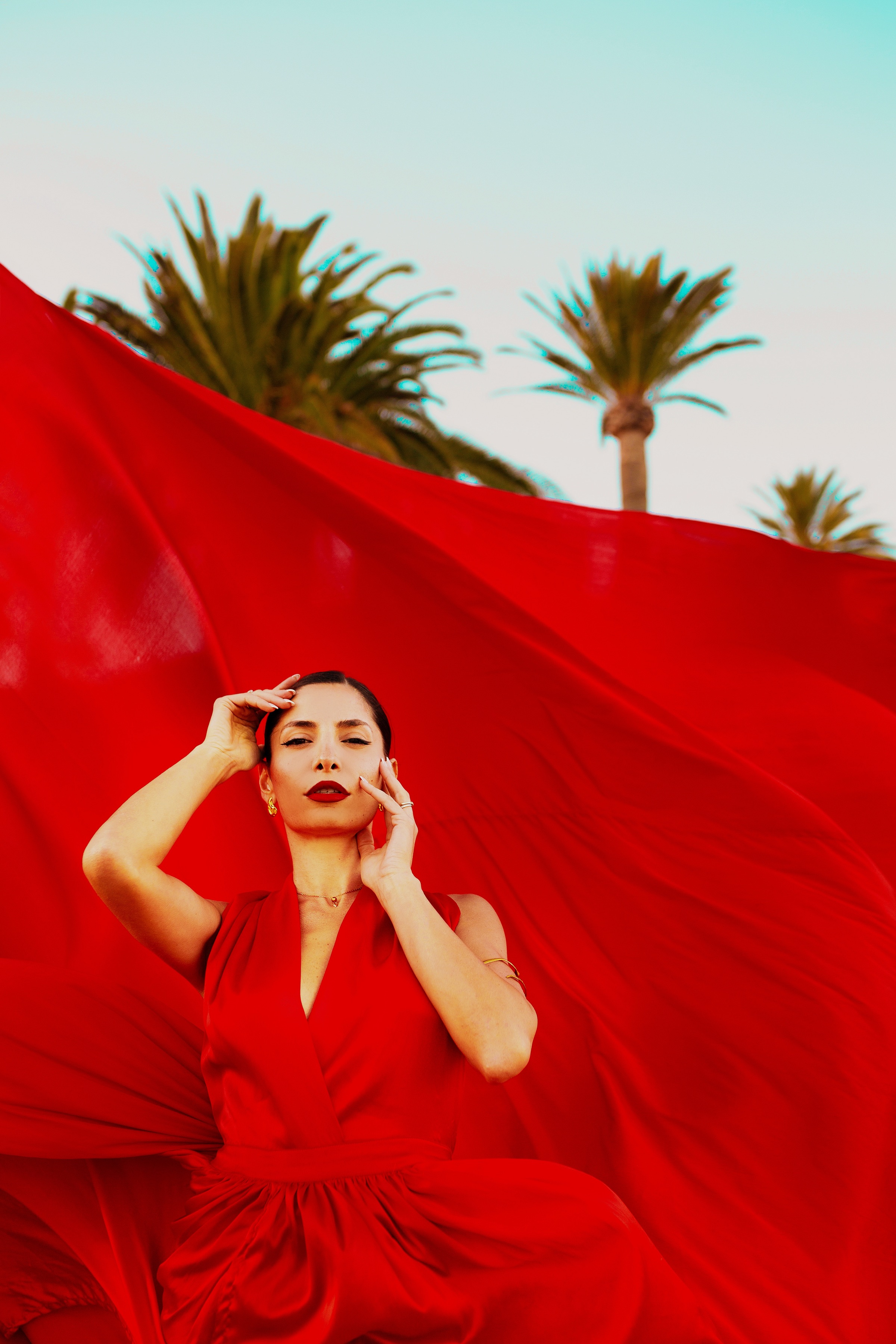 Katia Zakarian in a flowing red gown